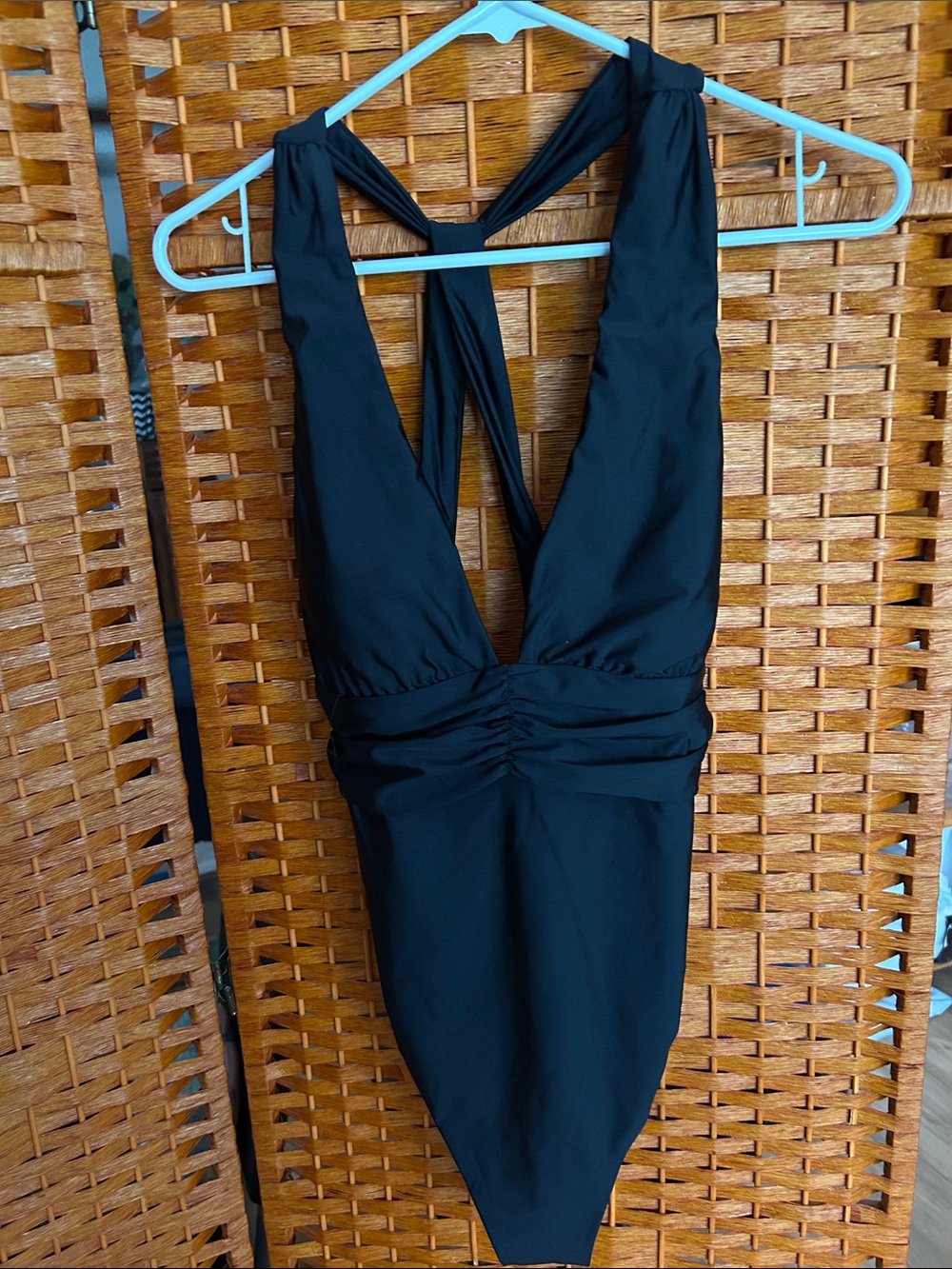 Sunshine 79 one piece bathing suit